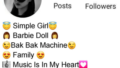 Insta Bio